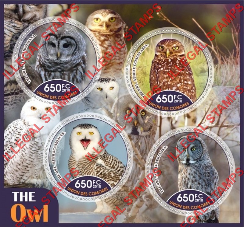 Comoro Islands 2018 Owls Counterfeit Illegal Stamp Souvenir Sheet of 4 Comoro Islands 2018 Owls Counterfeit Illegal Stamp Souvenir Sheet of 4