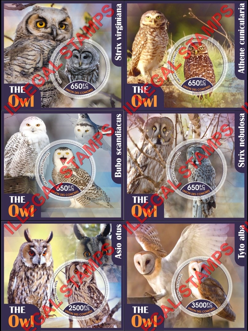 Comoro Islands 2018 Owls Counterfeit Illegal Stamp Souvenir Sheets of 1 Comoro Islands 2018 Owls Counterfeit Illegal Stamp Souvenir Sheets of 1