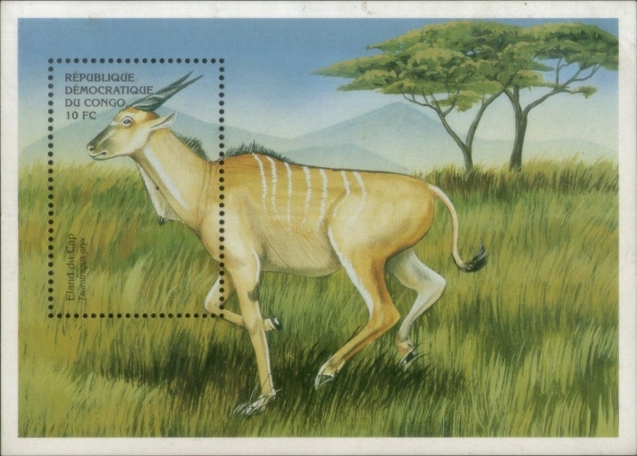 Congo Democratic Republic 2000 Animals of Africa Eland Souvenir Sheet of 1 Scott Number 1514 Congo Democratic Republic 2000 Animals of Africa Eland Souvenir Sheet of 1 Scott Number 1514