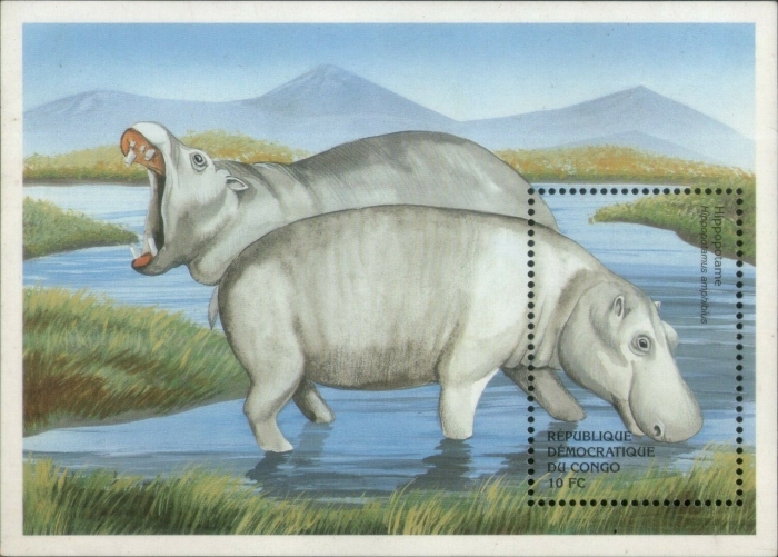 Congo Democratic Republic 2000 Animals of Africa Hippopotamus Souvenir Sheet of 1 Scott Number 1515 Congo Democratic Republic 2000 Animals of Africa Hippopotamus Souvenir Sheet of 1 Scott Number 1515