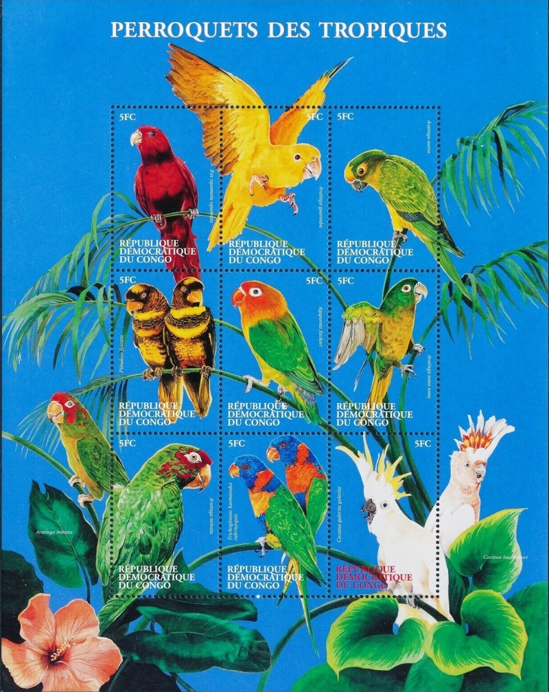 Congo Democratic Republic 2000 Birds Parrots Sheet of 9 Scott Number 1537 Congo Democratic Republic 2000 Birds Parrots Sheet of 9 Scott Number 1537