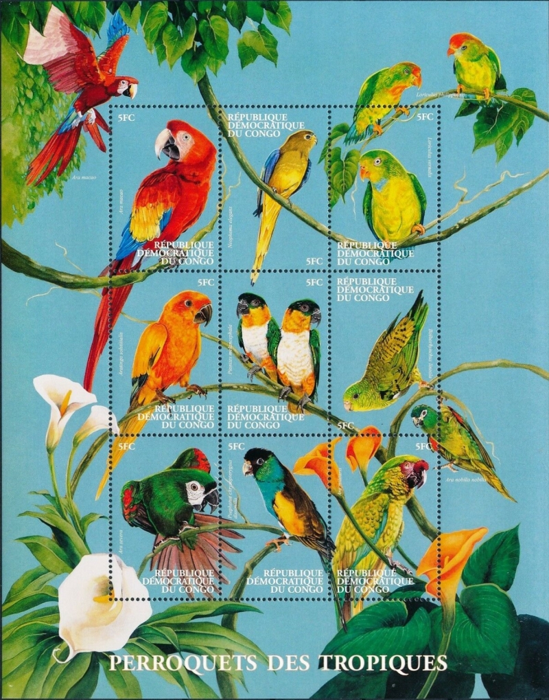 Congo Democratic Republic 2000 Birds Parrots Sheet of 9 Scott Number 1538 Congo Democratic Republic 2000 Birds Parrots Sheet of 9 Scott Number 1538