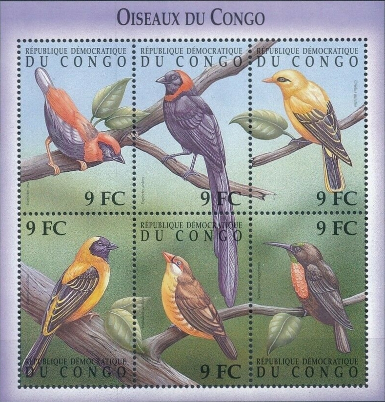 Congo Democratic Republic 2000 Birds Sheet of 6 Scott Number 1534 Congo Democratic Republic 2000 Birds Sheet of 6 Scott Number 1534