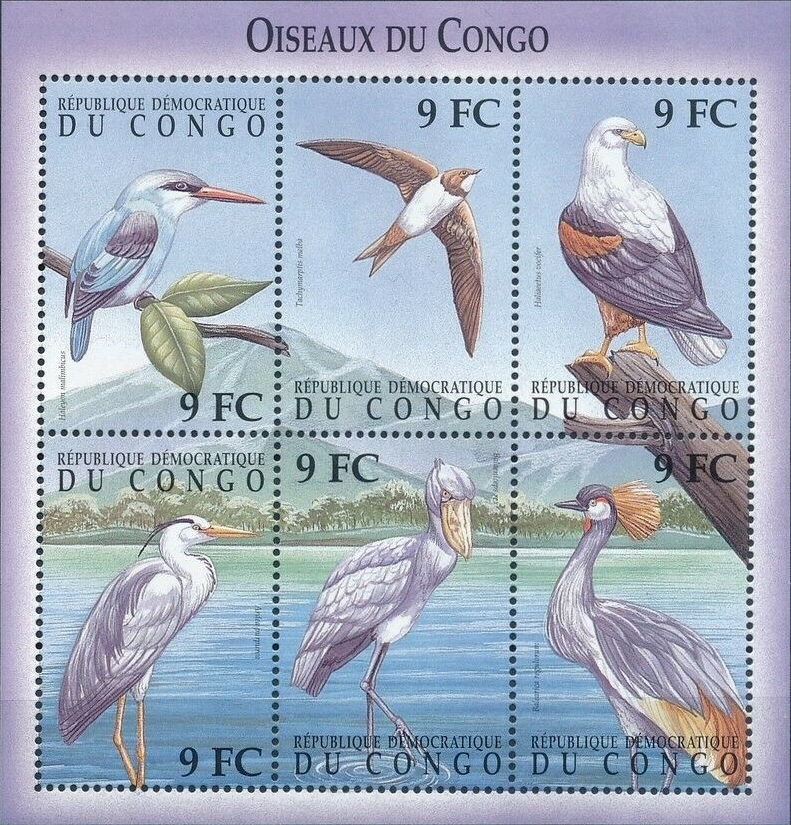 Congo Democratic Republic 2000 Birds Sheet of 6 Scott Number 1535 Congo Democratic Republic 2000 Birds Sheet of 6 Scott Number 1535