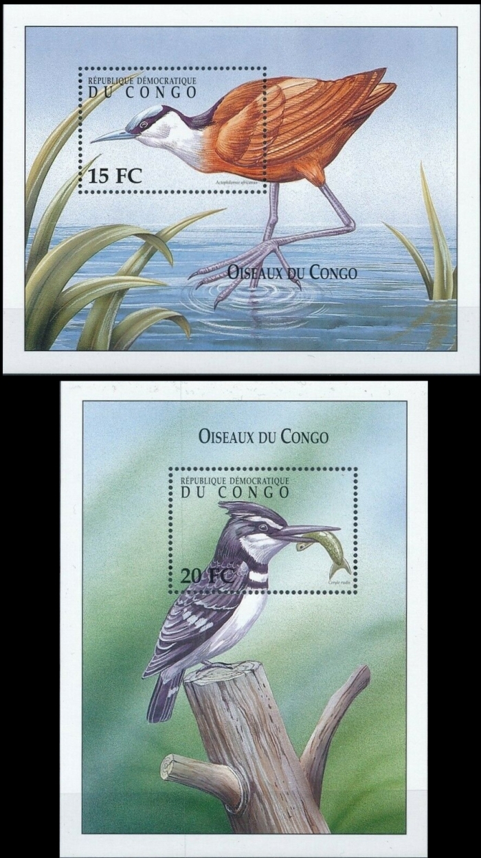 Congo Democratic Republic 2000 Birds Souvenir Sheets of 1 Scott Number 1539-1540 Congo Democratic Republic 2000 Birds Souvenir Sheets of 1 Scott Number 1539-1540