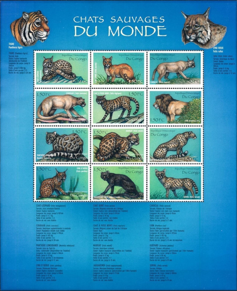 Congo Democratic Republic 2000 Wild Cats of the World Souvenir Sheet of 12 Scott Number 1517 Congo Democratic Republic 2000 Wild Cats of the World Souvenir Sheet of 12 Scott Number 1517
