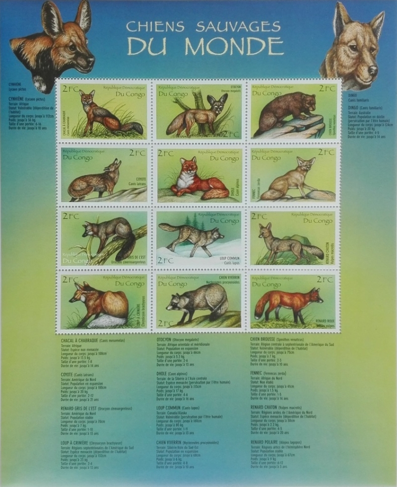 Congo Democratic Republic 2000 Wild Dogs of the World Souvenir Sheet of 12 Scott Number 1518 Congo Democratic Republic 2000 Wild Dogs of the World Souvenir Sheet of 12 Scott Number 1518