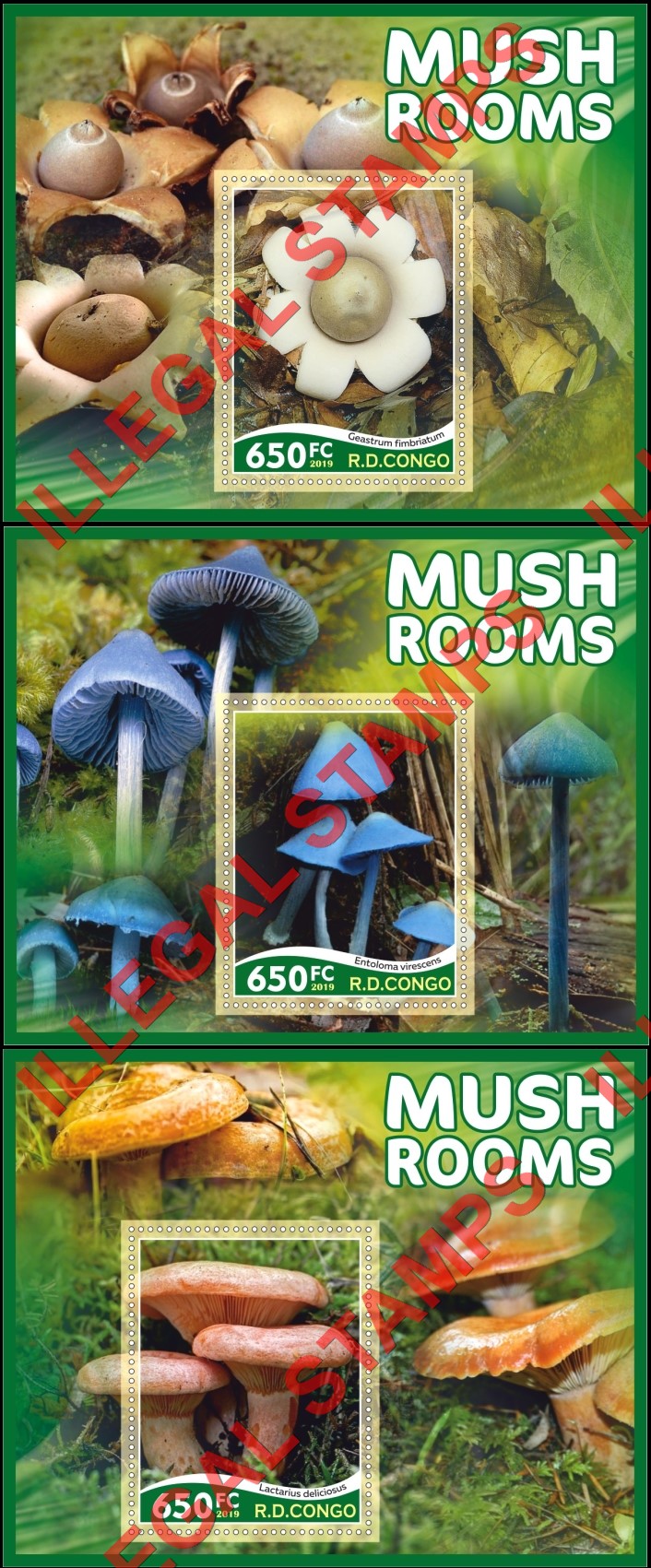 Congo Democratic Republic 2019 Mushrooms Illegal Stamp Souvenir Sheets of 1 (Part 1) Congo Democratic Republic 2019 Mushrooms Illegal Stamp Souvenir Sheets of 1 (Part 1)