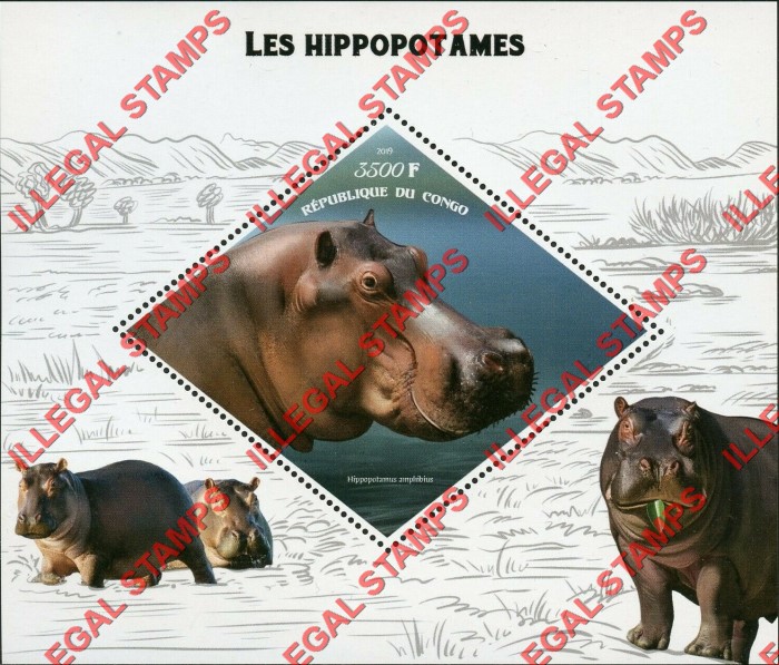Congo Republic 2019 Hippopotamus Illegal Stamp Souvenir Sheet of 1 Congo Republic 2019 Hippopotamus Illegal Stamp Souvenir Sheet of 1