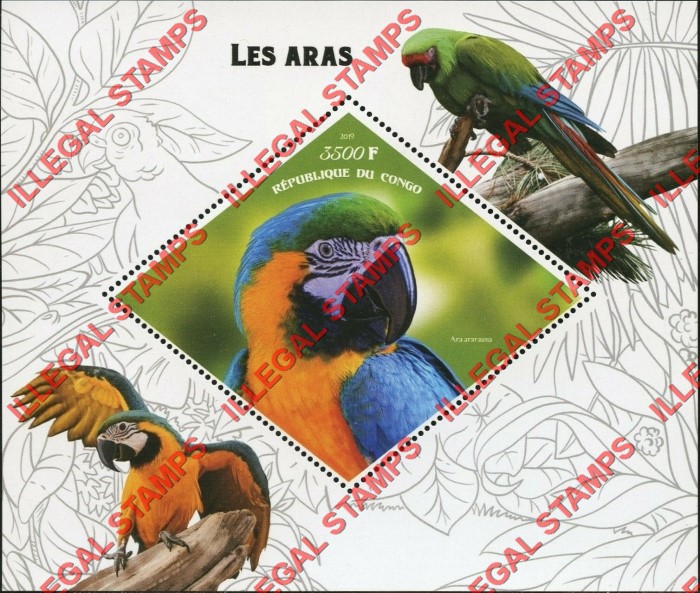 Congo Republic 2019 Parrots Illegal Stamp Souvenir Sheet of 1 Congo Republic 2019 Parrots Illegal Stamp Souvenir Sheet of 1