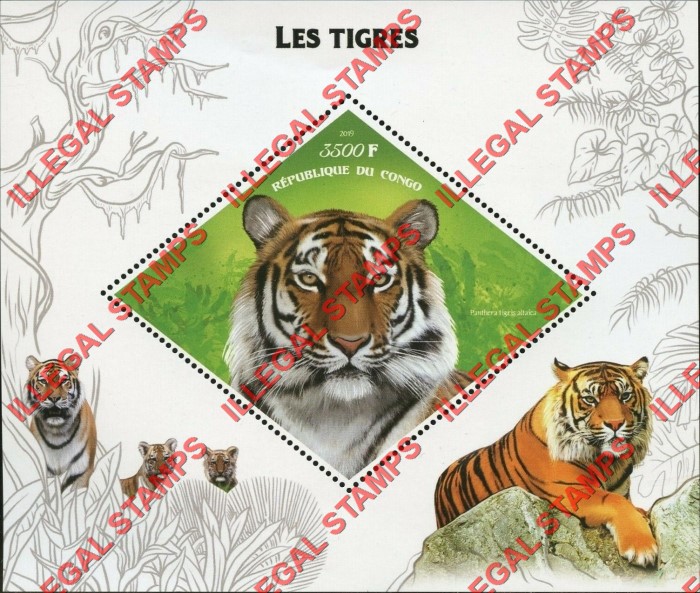 Congo Republic 2019 Tigers Illegal Stamp Souvenir Sheet of 1 Congo Republic 2019 Tigers Illegal Stamp Souvenir Sheet of 1