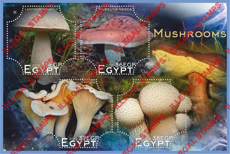 Egypt 2018 Mushrooms Illegal Stamp Souvenir Sheet of 4 Egypt 2018 Mushrooms Illegal Stamp Souvenir Sheet of 4