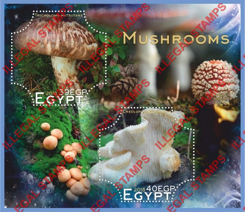Egypt 2018 Mushrooms Illegal Stamp Souvenir Sheet of 2 Egypt 2018 Mushrooms Illegal Stamp Souvenir Sheet of 2