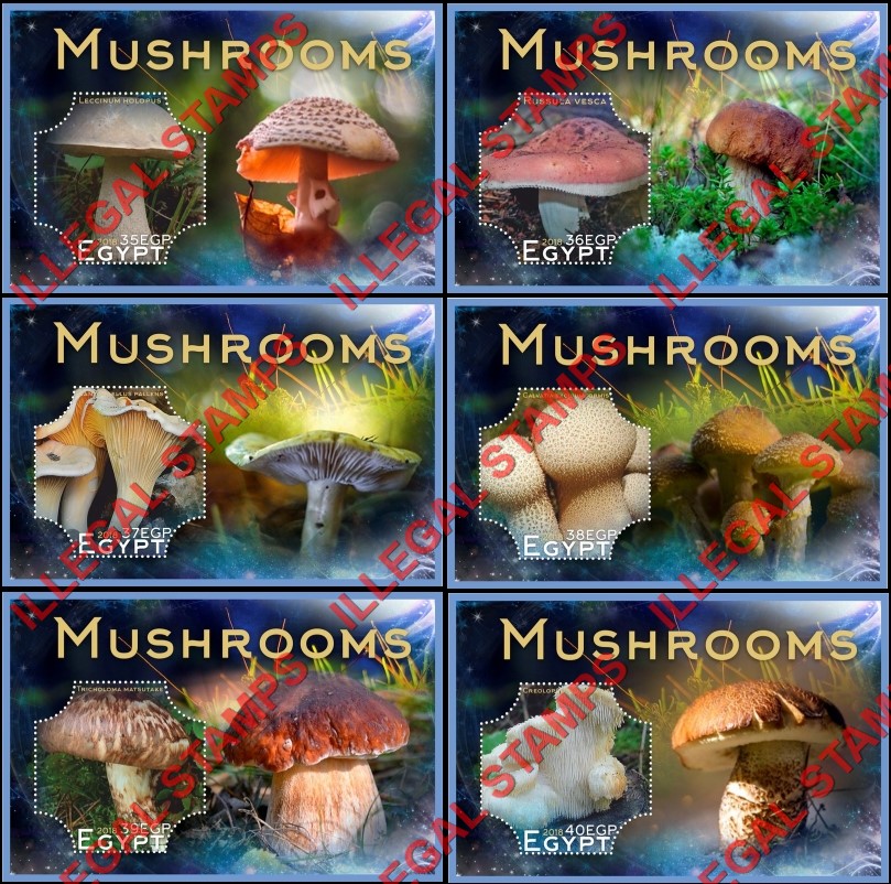 Egypt 2018 Mushrooms Illegal Stamp Souvenir Sheets of 1 Egypt 2018 Mushrooms Illegal Stamp Souvenir Sheets of 1