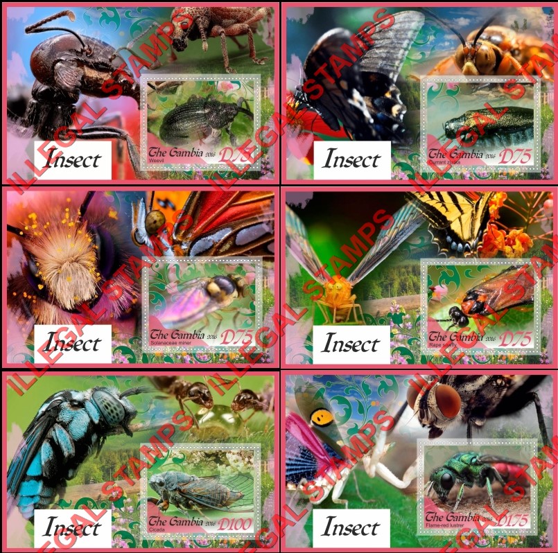 Gambia 2016 Insects Illegal Stamp Souvenir Sheets of 1 Gambia 2016 Insects Illegal Stamp Souvenir Sheets of 1