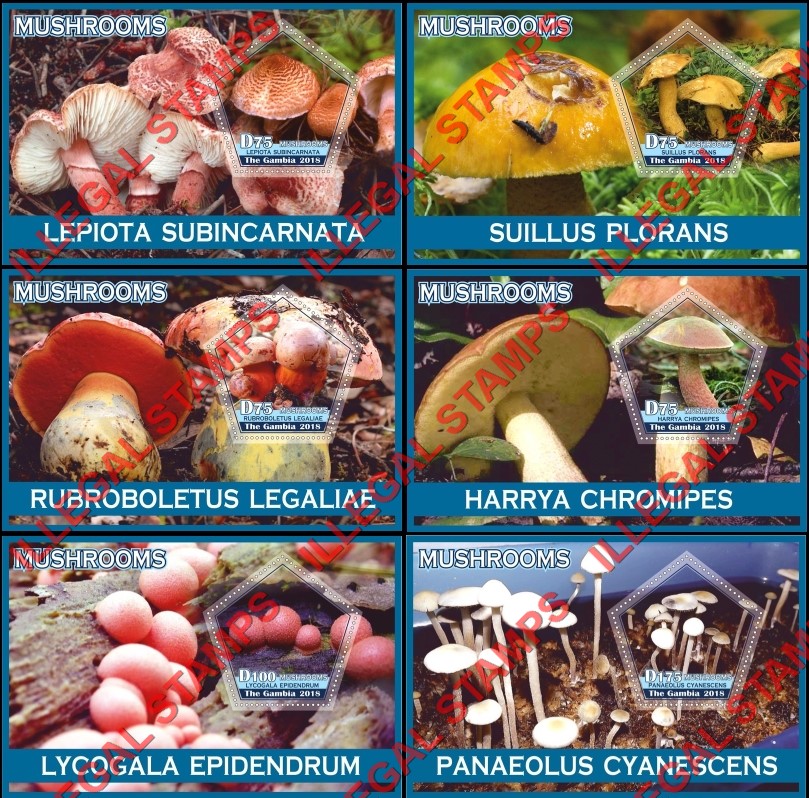 Gambia 2018 Mushrooms (different) Illegal Stamp Souvenir Sheets of 1 Gambia 2018 Mushrooms (different) Illegal Stamp Souvenir Sheets of 1