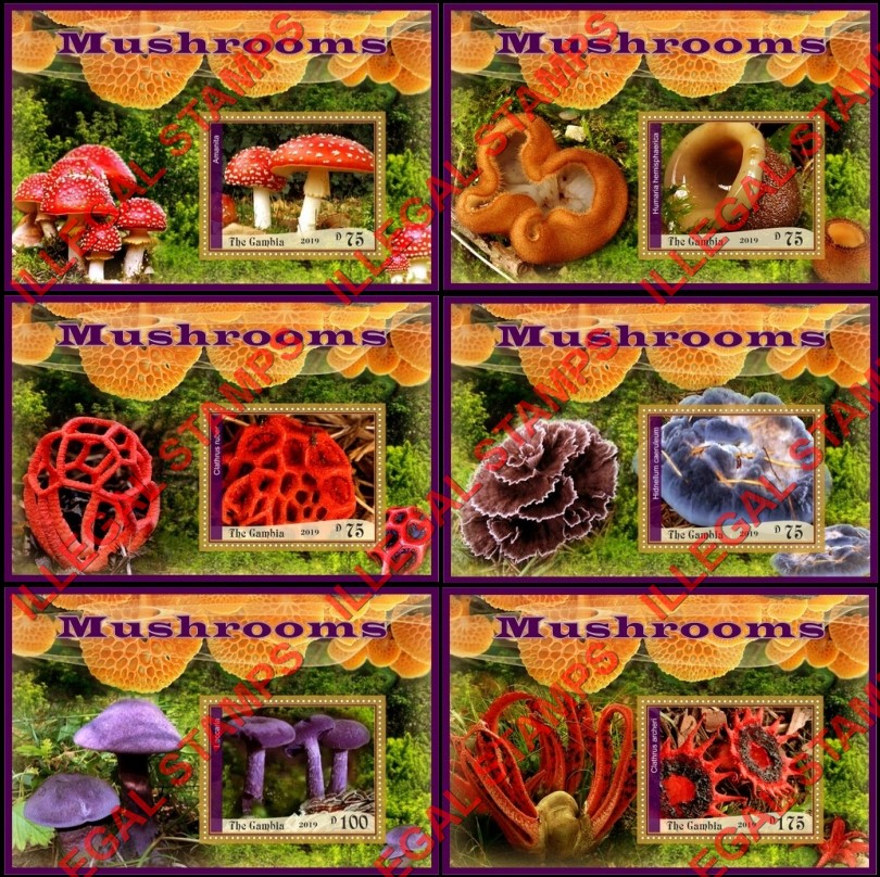 Gambia 2019 Mushrooms (second different) Illegal Stamp Souvenir Sheets of 1 Gambia 2019 Mushrooms (second different) Illegal Stamp Souvenir Sheets of 1