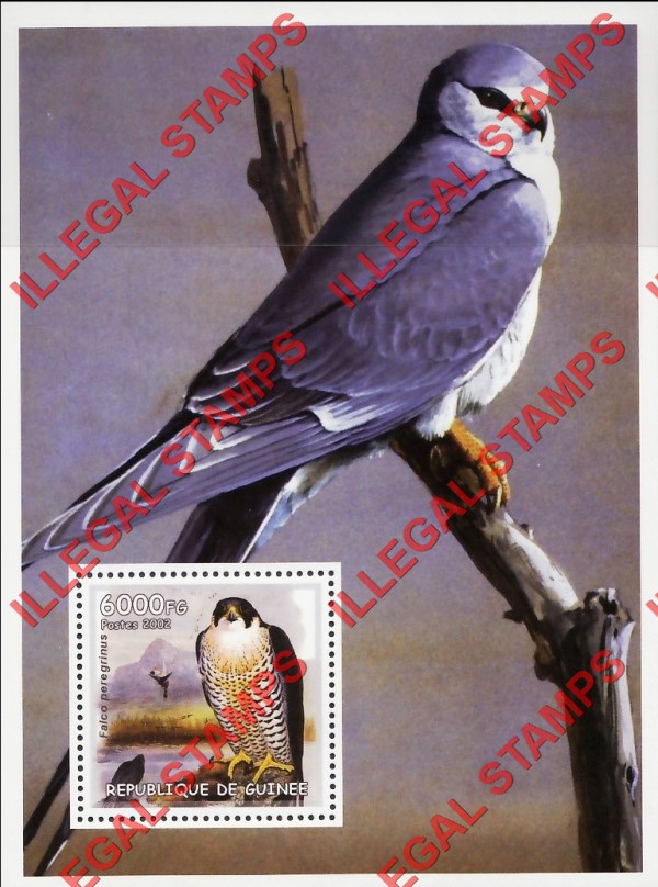 Guinea Republic 2002 Birds of Prey Raptors Illegal Stamp Souvenir Sheet of 1 Guinea Republic 2002 Birds of Prey Raptors Illegal Stamp Souvenir Sheet of 1