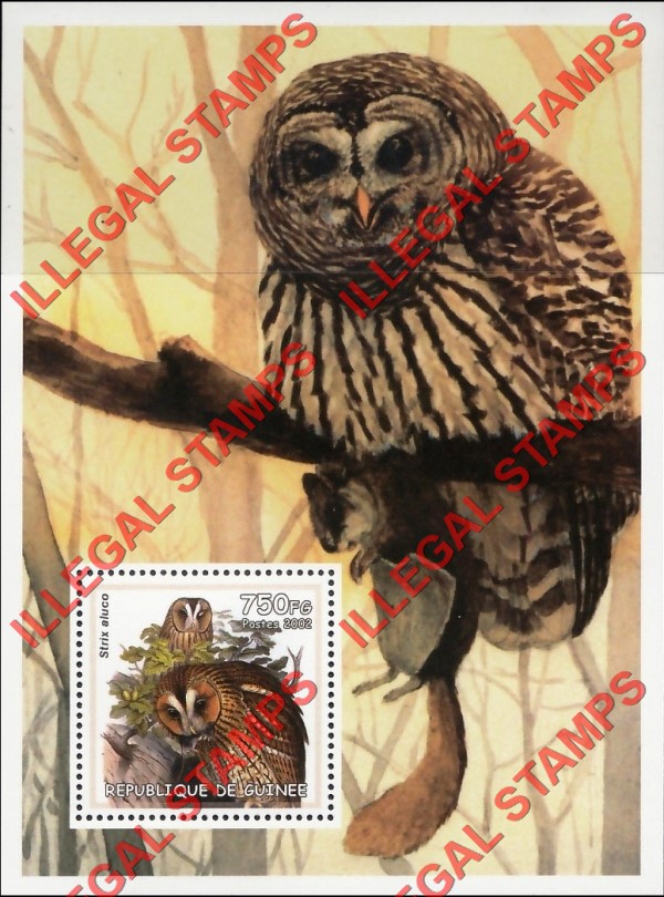 Guinea Republic 2002 Owls Illegal Stamp Souvenir Sheet of 1 Guinea Republic 2002 Owls Illegal Stamp Souvenir Sheet of 1