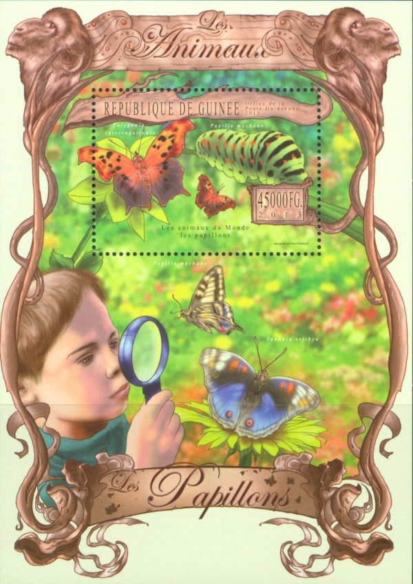 Guinea Republic 2013 Animals Series Butterflies Legal Issue Guinea Republic 2013 Animals Series Butterflies Legal Issue