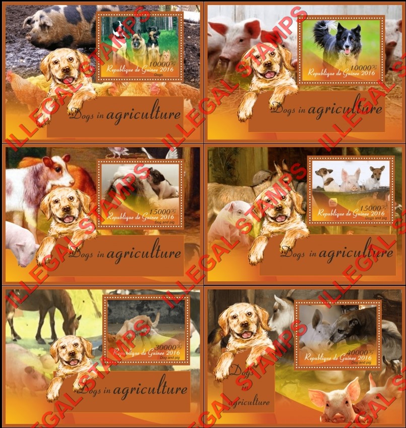 Guinea Republic 2016 Dogs in Agriculture with Pigs Illegal Stamp Souvenir Sheets of 1 Guinea Republic 2016 Dogs in Agriculture with Pigs Illegal Stamp Souvenir Sheets of 1