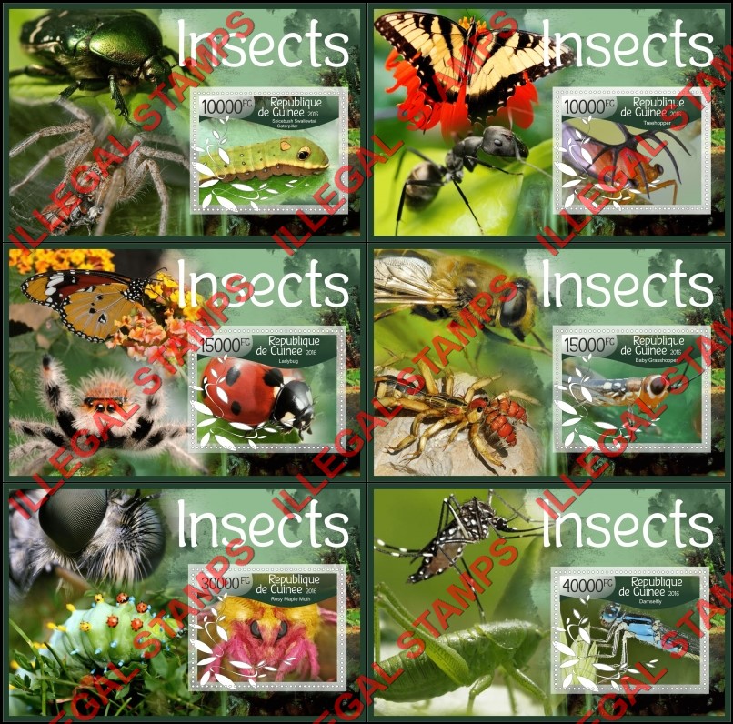 Guinea Republic 2016 Insects Illegal Stamp Souvenir Sheets of 1 Guinea Republic 2016 Insects Illegal Stamp Souvenir Sheets of 1