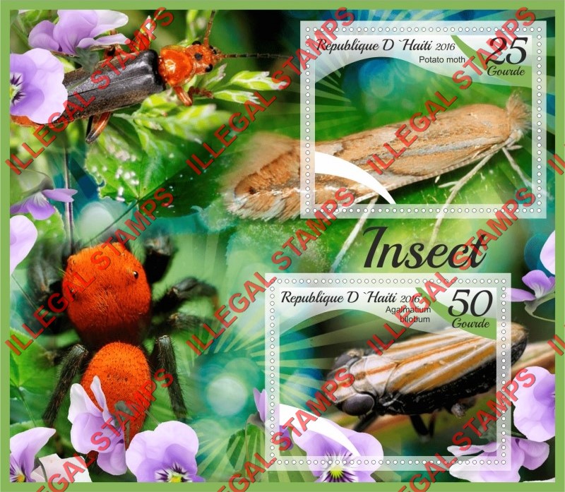 Haiti 2016 Insects Illegal Stamp Souvenir Sheet of 2 Haiti 2016 Insects Illegal Stamp Souvenir Sheet of 2