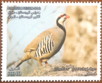Kurdistan 2015 Birds Chukar Partridge Stamp Kurdistan 2015 Birds Chukar Partridge Stamp
