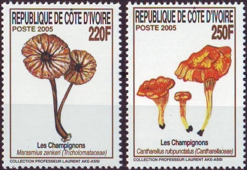Ivory Coast 2005 Mushrooms of the Ivory Coast Scott 1168-1169 Ivory Coast 2005 Mushrooms of the Ivory Coast Scott 1168-1169