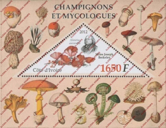 Ivory Coast 2012 Mushrooms Illegal Stamp Souvenir Sheet of 1 Ivory Coast 2012 Mushrooms Illegal Stamp Souvenir Sheet of 1