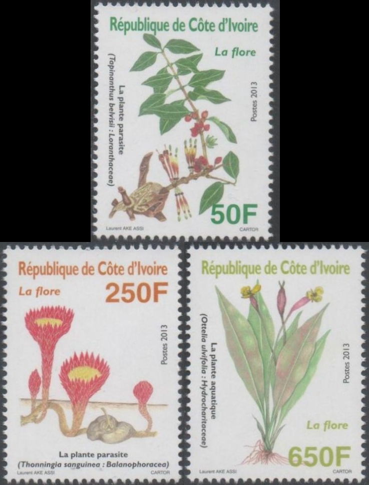 Ivory Coast Flora Parasitic and Aquatic Plants Scott 1193-1195 Ivory Coast 2013 Flora Parasitic and Aquatic Plants Scott 1193-1195
