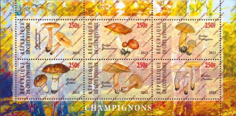 Ivory Coast 2013 Mushrooms Illegal Stamp Sheetlet of 6 Ivory Coast 2013 Mushrooms Illegal Stamp Sheetlet of 6