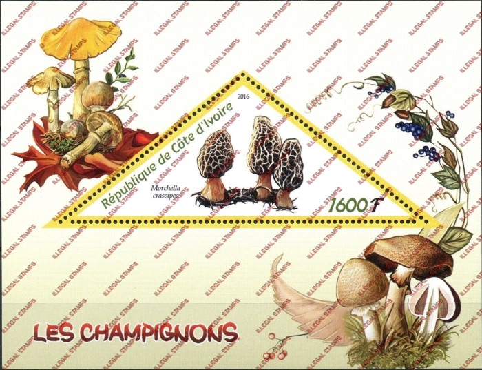 Ivory Coast 2016 Mushrooms Illegal Stamp Souvenir Sheet of 1 Ivory Coast 2016 Mushrooms Illegal Stamp Souvenir Sheet of 1