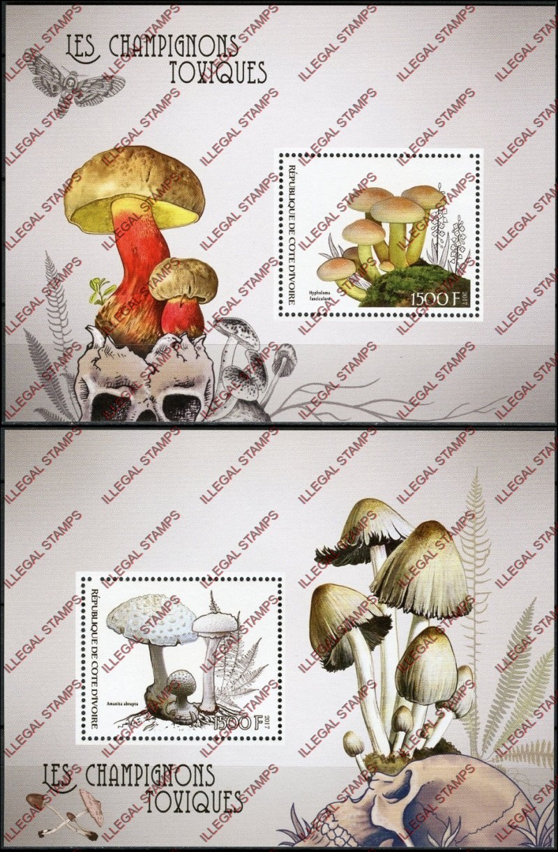 Ivory Coast 2017 Mushrooms Toxic Illegal Stamp Souvenir Sheets of 1 Ivory Coast 2017 Mushrooms Toxic Illegal Stamp Souvenir Sheets of 1
