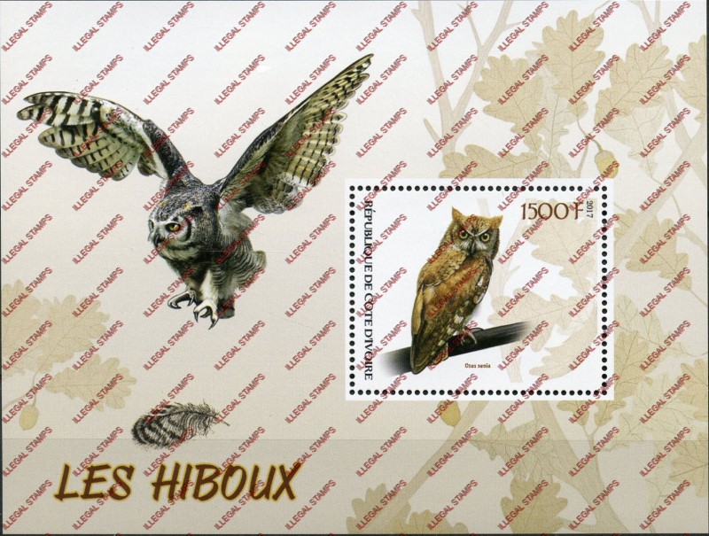Ivory Coast 2017 Owls Illegal Stamp Souvenir Sheet of 1 Ivory Coast 2017 Owls Illegal Stamp Souvenir Sheet of 1