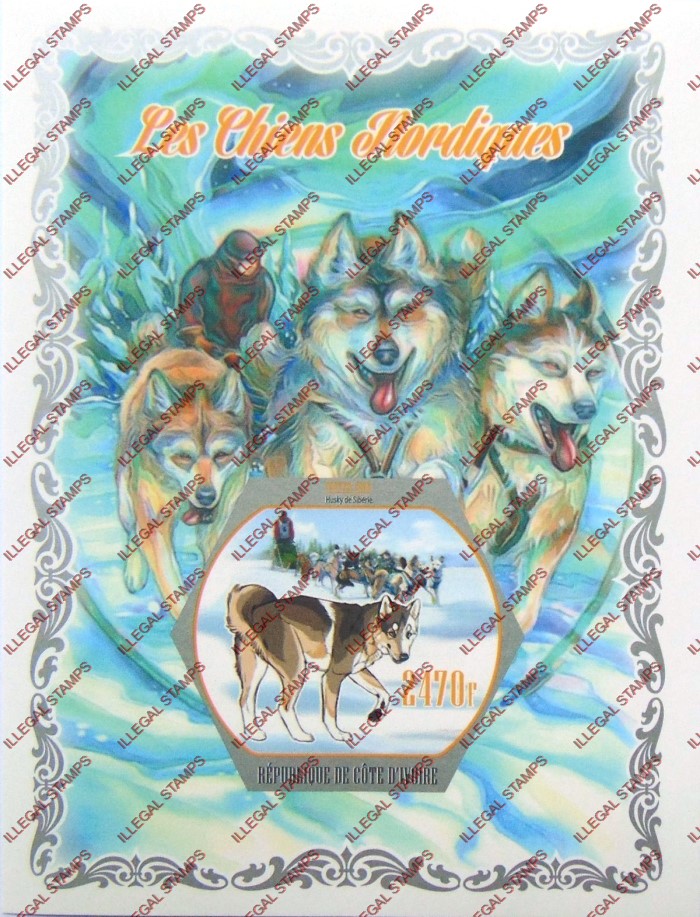 Ivory Coast 2018 Dogs Nordic Illegal Stamp Souvenir Sheet of 1