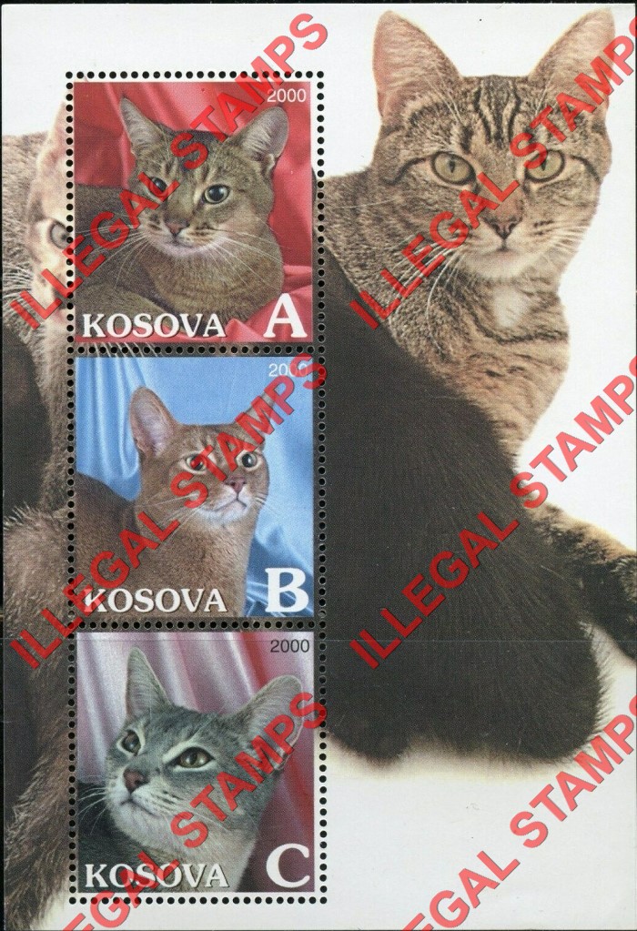 Kosovo 2000 Inscribed Kosova Cats Counterfeit Illegal Stamp Souvenir Sheet of 3 Kosovo 2000 Inscribed Kosova Cats Counterfeit Illegal Stamp Souvenir Sheet of 3