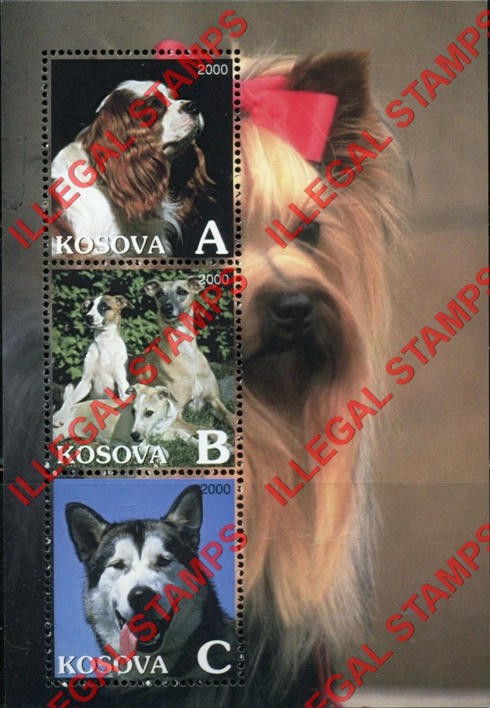 Kosovo 2000 Inscribed Kosova Dogs Counterfeit Illegal Stamp Souvenir Sheet of 3 Kosovo 2000 Inscribed Kosova Dogs Counterfeit Illegal Stamp Souvenir Sheet of 3