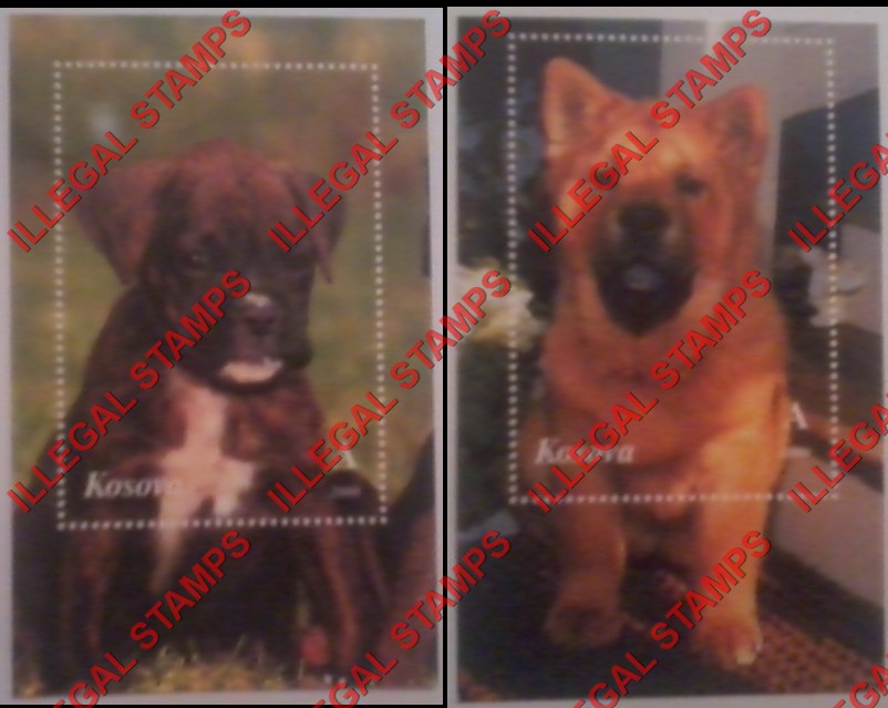 Kosovo 2000 Inscribed Kosova Dogs Counterfeit Illegal Stamp Souvenir Sheets of 1 Kosovo 2000 Inscribed Kosova Dogs Counterfeit Illegal Stamp Souvenir Sheets of 1