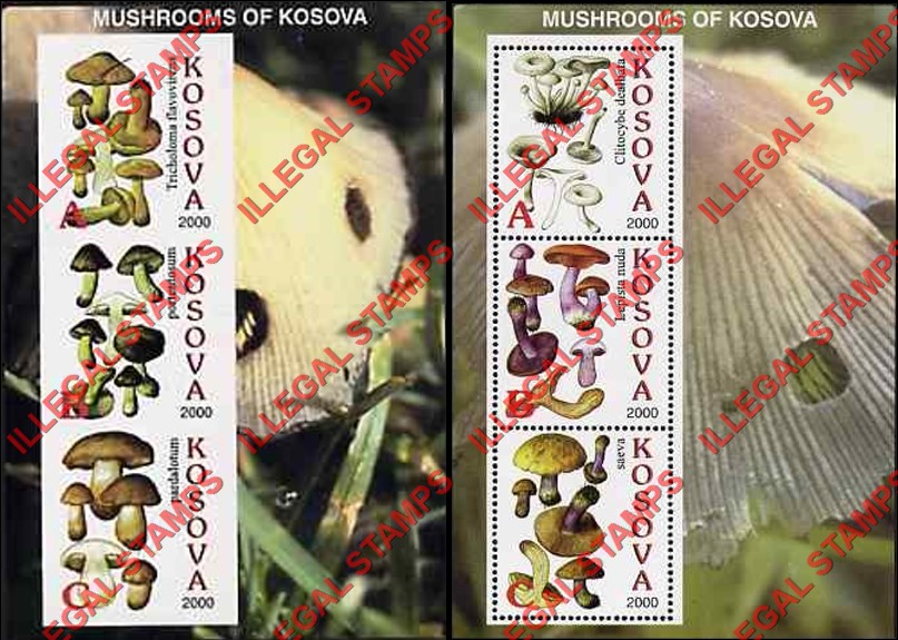 Kosovo 2000 Inscribed Kosova Mushrooms Counterfeit Illegal Stamp Souvenir Sheets of 3 Kosovo 2000 Inscribed Kosova Mushrooms Counterfeit Illegal Stamp Souvenir Sheets of 3