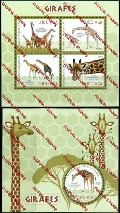 Madagascar 2015 Giraffes Illegal Stamp Souvenir Sheet and Sheetlet Madagascar 2015 Giraffes Illegal Stamp Souvenir Sheet and Sheetlet