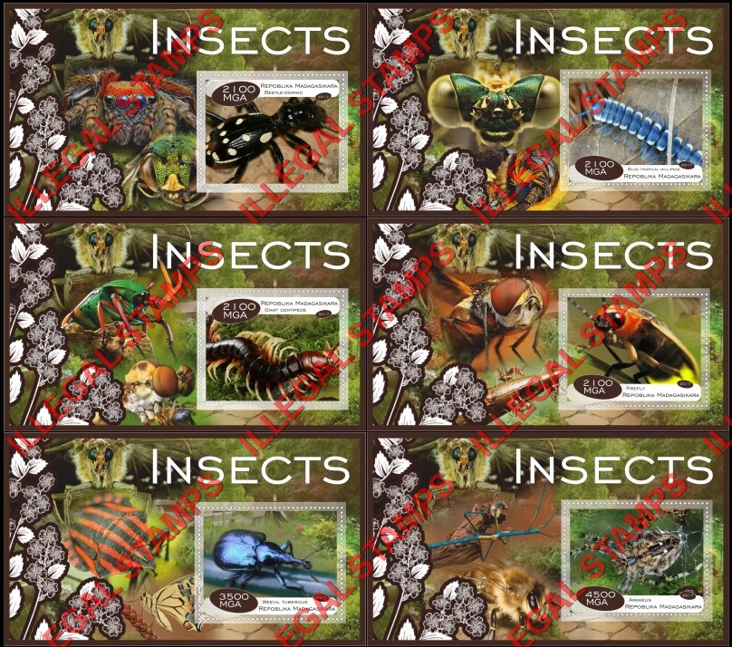 Madagascar 2017 Insects Illegal Stamp Souvenir Sheets of 1 Madagascar 2017 Insects Illegal Stamp Souvenir Sheets of 1