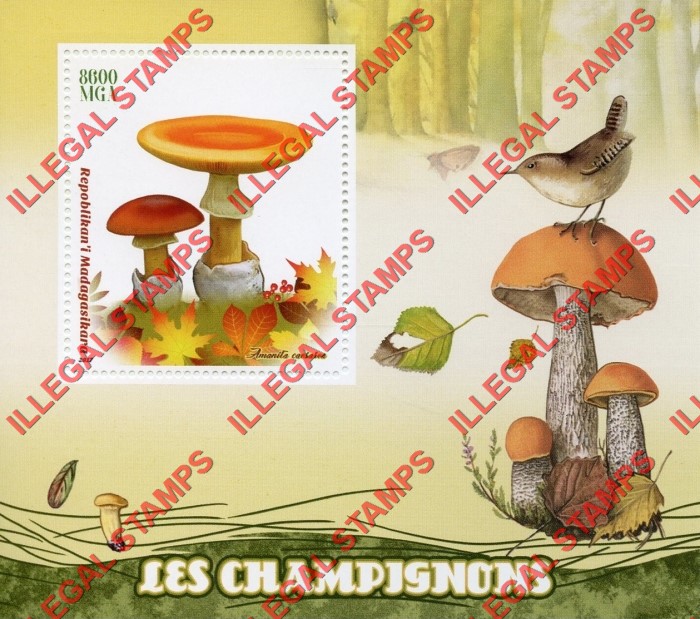 Madagascar 2017 Mushrooms Illegal Stamp Souvenir Sheet of 1 Madagascar 2017 Mushrooms Illegal Stamp Souvenir Sheet of 1