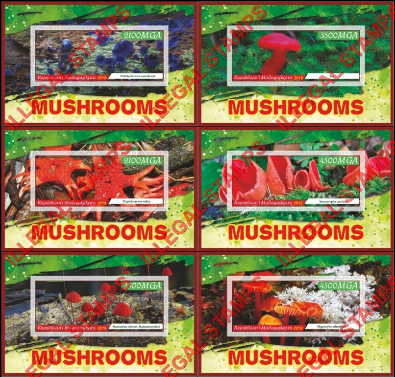 Madagascar 2019 Mushrooms Illegal Stamp Souvenir Sheets of 1 Madagascar 2019 Mushrooms Illegal Stamp Souvenir Sheets of 1