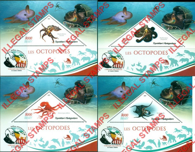 Madagascar 2019 Octopus Illegal Stamp Souvenir Sheets of 1 Madagascar 2019 Octopus Illegal Stamp Souvenir Sheets of 1