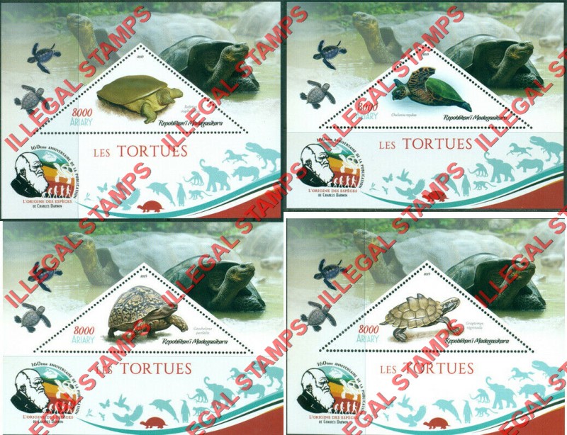 Madagascar 2019 Turtles Illegal Stamp Souvenir Sheets of 1 Madagascar 2019 Turtles Illegal Stamp Souvenir Sheets of 1
