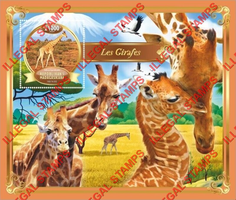 Madagascar 2022 Giraffes Illegal Stamp Souvenir Sheet of 1 Madagascar 2022 Giraffes Illegal Stamp Souvenir Sheet of 1