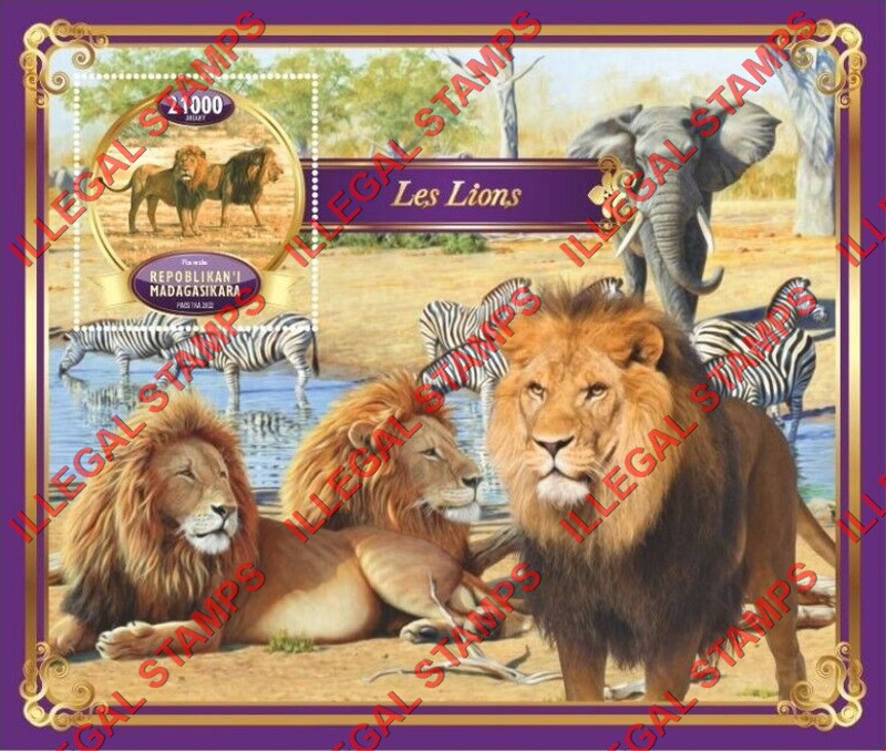 Madagascar 2022 Lions Illegal Stamp Souvenir Sheet of 1 Madagascar 2022 Lions Illegal Stamp Souvenir Sheet of 1