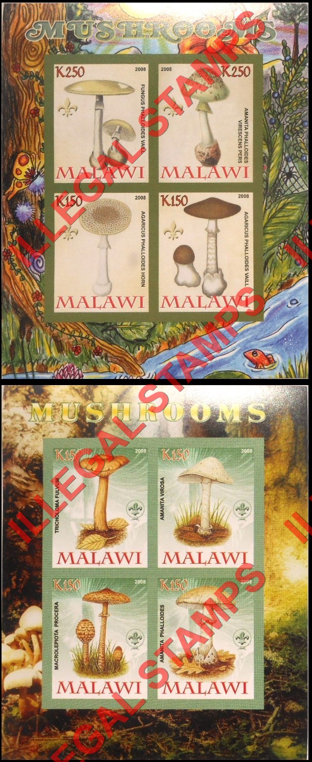 Malawi 2008 Mushrooms Illegal Stamp Souvenir Sheets of 4 (Part 2) Malawi 2008 Mushrooms Illegal Stamp Souvenir Sheets of 4 (Part 2)