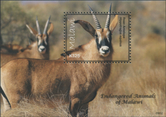 Malawi 2009 Endangered Animals of Malawi Antelope Scott 746 Malawi 2009 Endangered Animals of Malawi Antelope Scott 746
